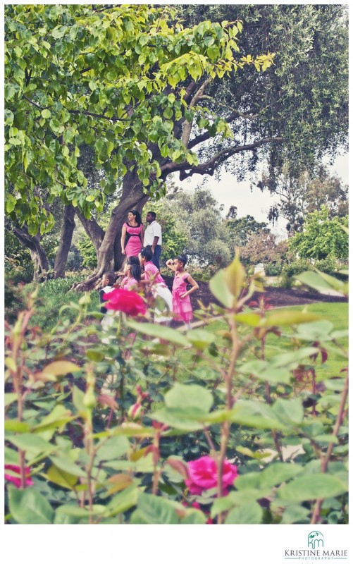 Family Portrait | Balboa Park Rose Garden 