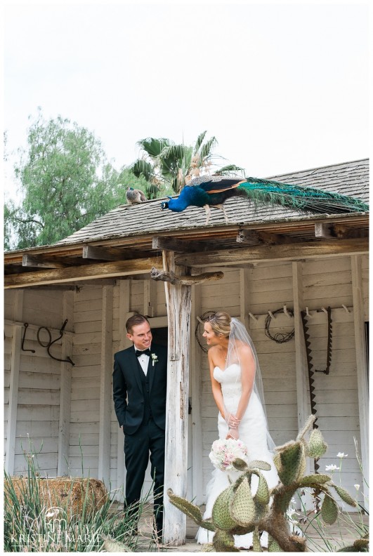 Leo Carrillo Ranch Historic Park Carlsbad Wedding San Diego Wedding Photographer|Kristine Marie Photography