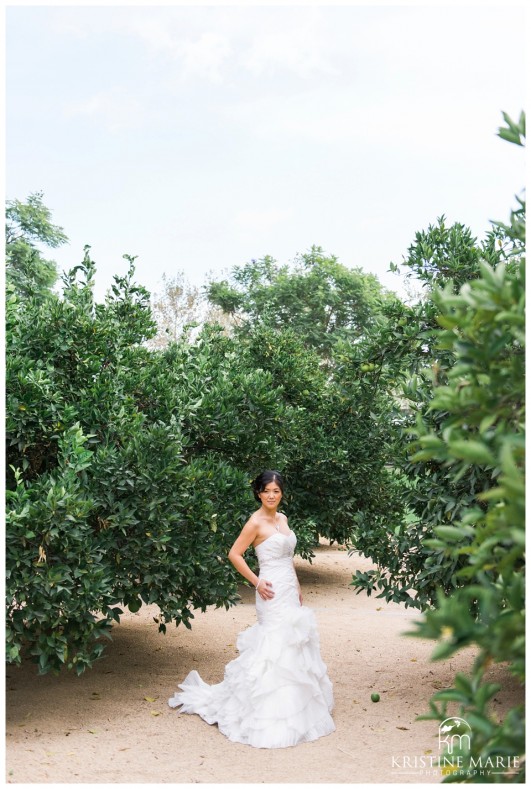 Bridal Portrait Orange Grove Trees | California Center for the Arts Escondido Wedding Photo | © Kristine Marie Photography