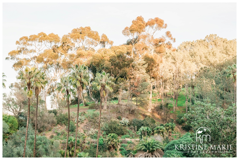 The View of the Canyon | Presidio Park Engagement Photo | San Diego Engagement Wedding Photographer | Kristine Marie Photography | © www.kristinemariephotography.com