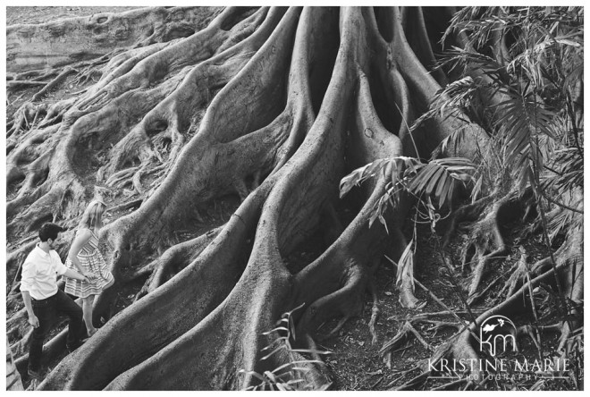Giant Tree Roots | Balboa Park Engagement Photo | San Diego Engagement Wedding Photographer | Kristine Marie Photography | © www.kristinemariephotography.com