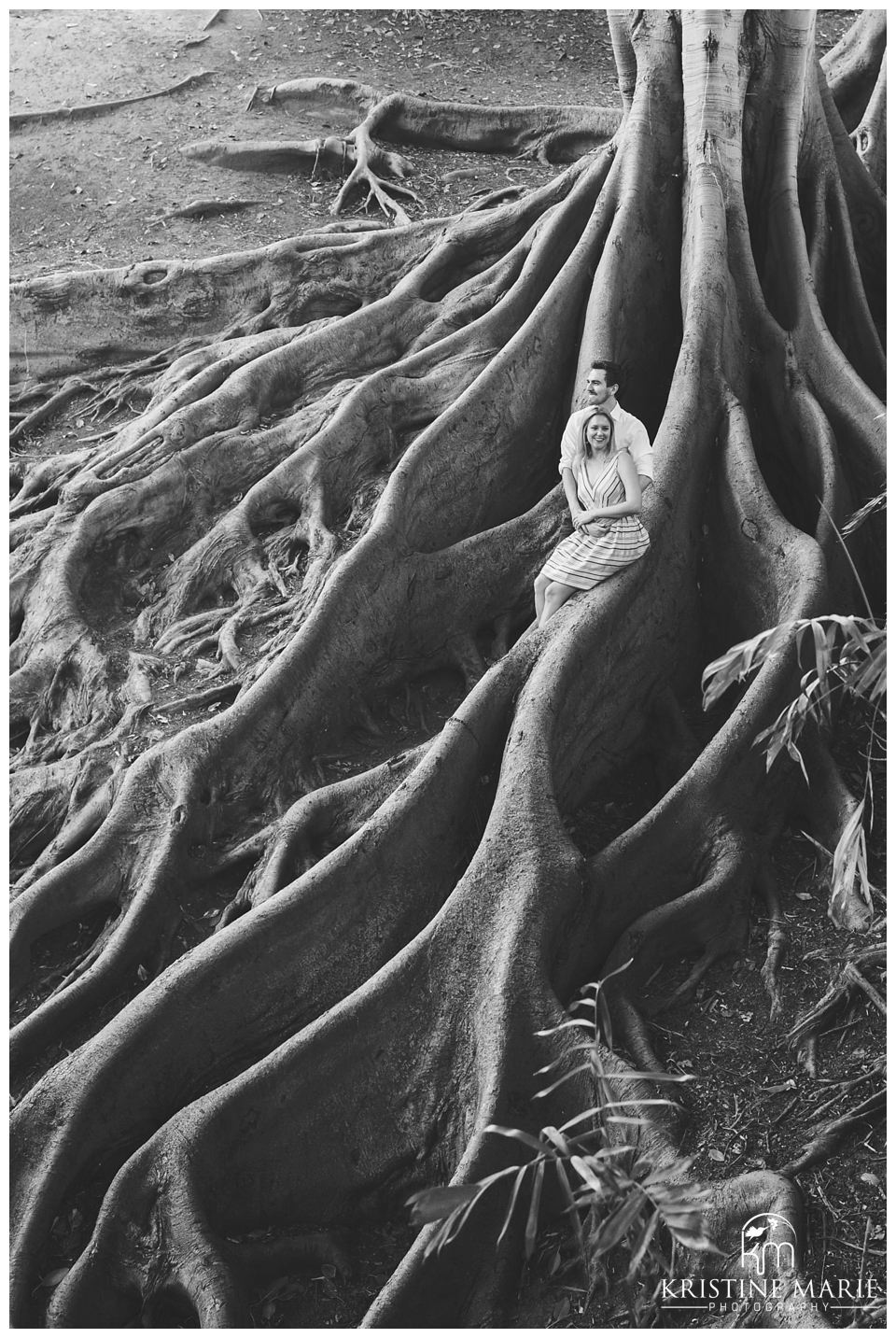 Giant Tree | Balboa Park Engagement Photo | San Diego Engagement Wedding Photographer | Kristine Marie Photography | © www.kristinemariephotography.com