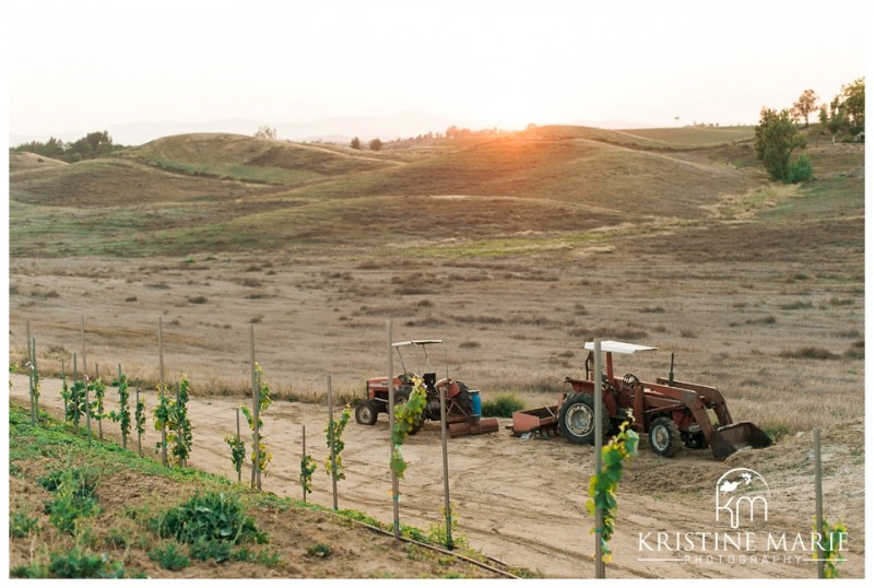 Vineyard engagement Danza Del sol Winery Temecula Wedding Photographer | © Kristine Marie Photography www.kristinemariephotography.com (8)