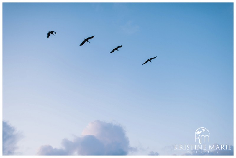 Birds in flight | La Jolla Cove Beach Engagement Photo | San Diego Engagement Wedding Photographer | Kristine Marie Photography © www.kristinemariephotography.com (18)