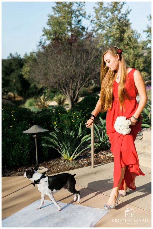 Boston Terrier in Wedding Walking Down the Aisle | Maderas Golf Club | Poway San Diego Wedding Photographer | Kristine Marie Photography | © www.kristinemariephotography.com