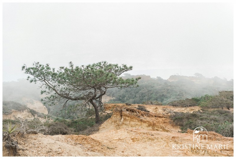 Torrey Pines Beach State Reserve Engagement | La Jolla San Diego Wedding Photographer | © Kristine Marie Photography www.kristinemariephotography.com (26)