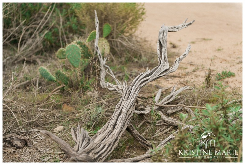 Torrey Pines Beach State Reserve Engagement | La Jolla San Diego Wedding Photographer | © Kristine Marie Photography www.kristinemariephotography.com (25)
