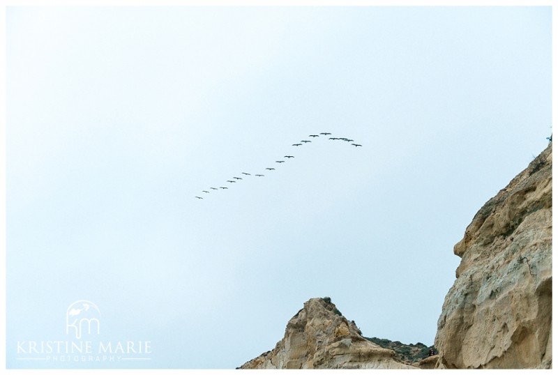 Torrey Pines Beach State Reserve Engagement | La Jolla San Diego Wedding Photographer | © Kristine Marie Photography www.kristinemariephotography.com (3)