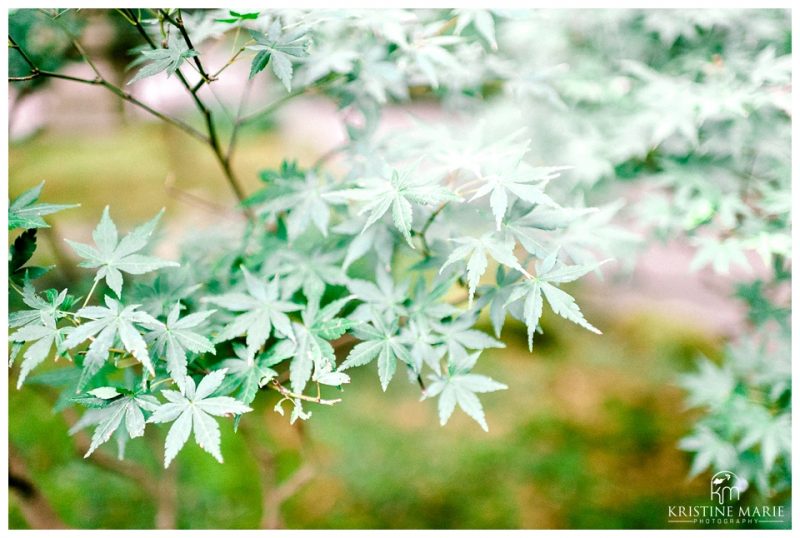 Hokokuji Bamboo Forest Bride Groom Navy |Yokosuka Tokyo Wedding Photographer | © Kristine Marie Photography (7)