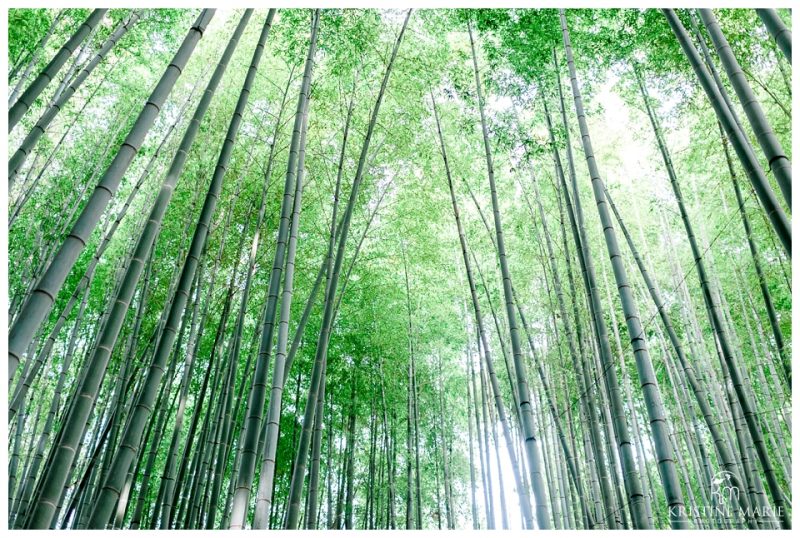 Hokokuji Bamboo Forest Bride Groom Navy |Yokosuka Tokyo Wedding Photographer | © Kristine Marie Photography (4)