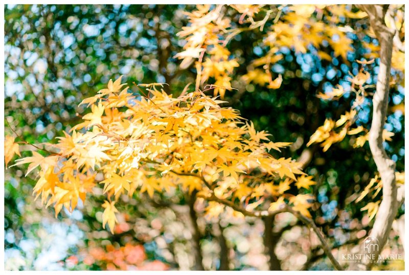 Coming of Age Outdoor Pictures | Japanese Kimono | Shomyoji Yokohama Yokosuka Tokyo Photographer | © Kristine Marie Photography (22)