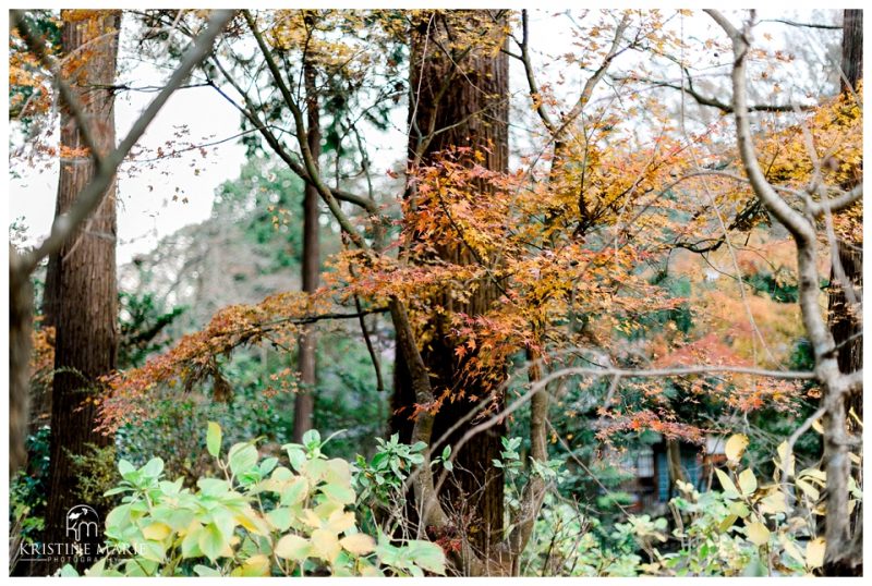 Yokosuka Yokohama Ikego Tokyo Maternity Family Photographer | Engakuji | © Kristine Marie Photography (18)