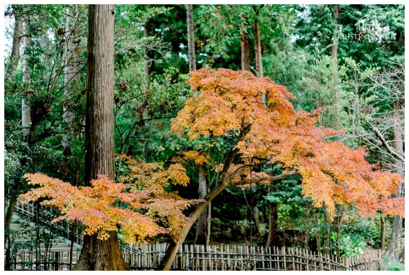 Yokosuka Yokohama Ikego Tokyo Maternity Family Photographer | Engakuji | © Kristine Marie Photography (15)