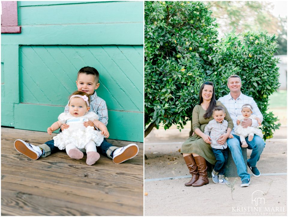 family of four orange orchard | Escondido Family Photographer | San Diego Fall Holiday Pictures